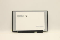 Lenovo 02DL762 repuesto para portátil Pantalla (FRU02DC316)