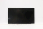 Lenovo 14 pulgadas pantalla LCD Full HD FRU02DL762 (2)
