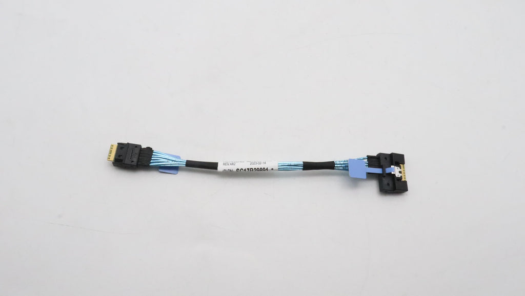 Internal Cable M.2 SATA (SL4x