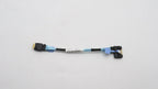 Internal Cable M.2 SATA (SL4x