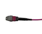 Lanview LVO230403-MTP Cable de fibra óptica e InfiniBand 3 m Violeta (5)