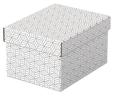 Esselte 628280 archivador organizador Caja de cartón Blanco