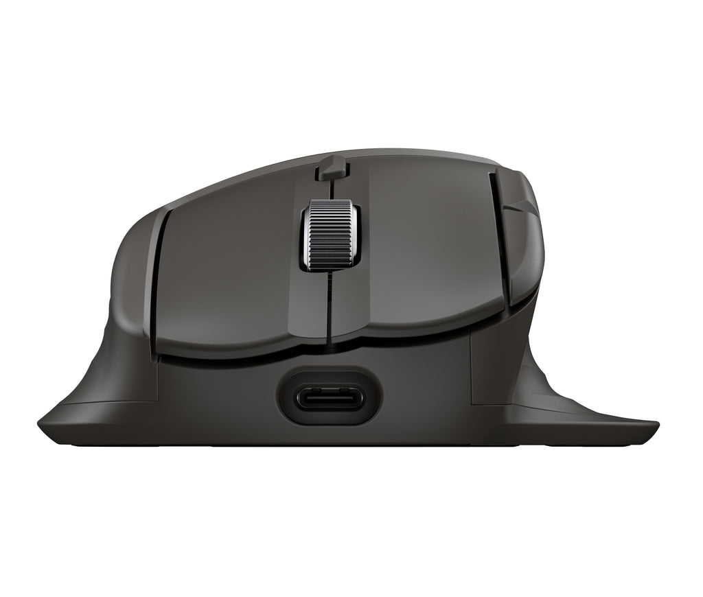 HP Ultra-Fast-Scroll Wireless Mouse 785M ratón (2)