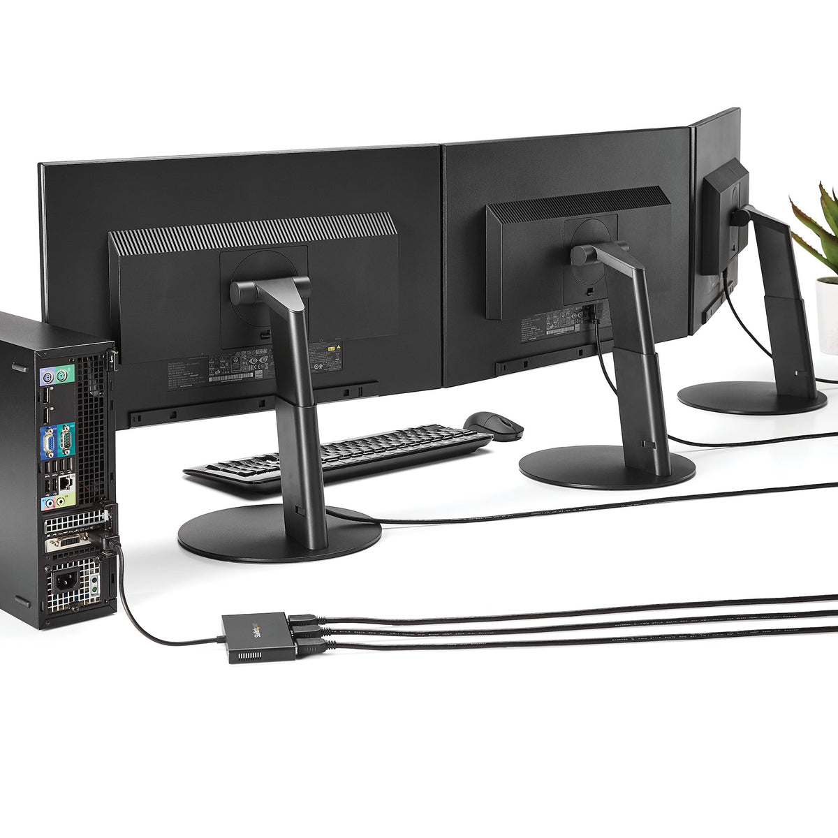 StarTech.com MSTMDP123HD divisor de video (5)