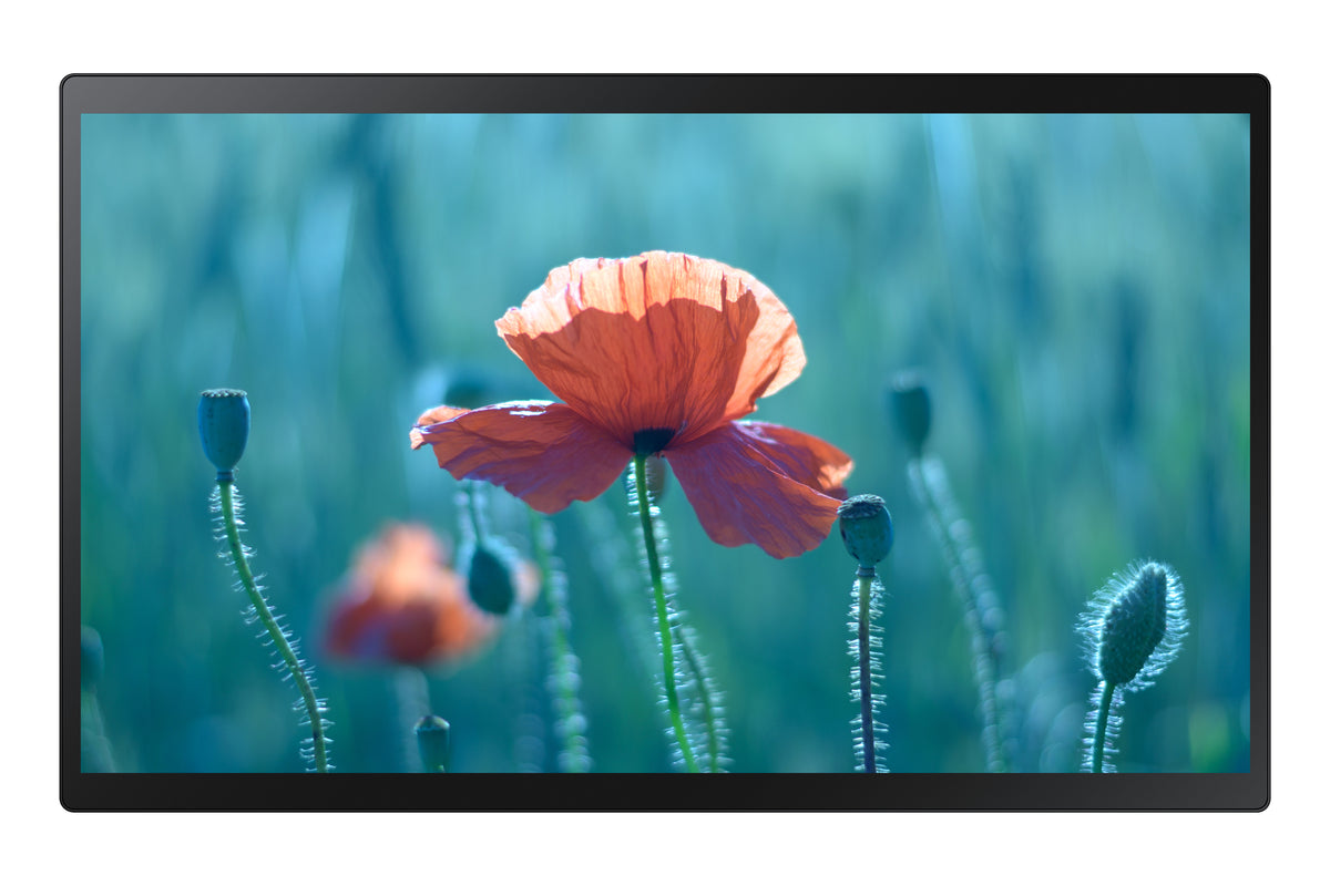 Samsung QB24R-TB Panel plano interactivo 61 cm (24") LCD Wifi 250 cd / m² Full HD Negro Pantalla táctil Tizen 4.0 16/7