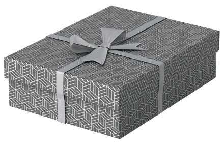 Esselte 628285 archivador organizador Caja de cartón Gris (2)