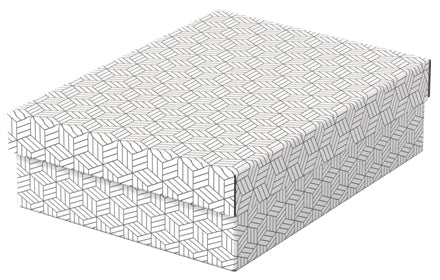 Esselte 628284 archivador organizador Caja de cartón Blanco