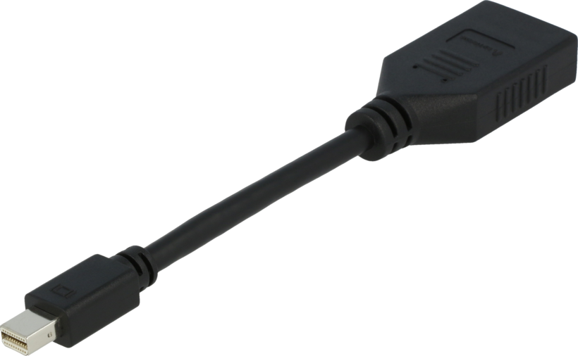 Adaptador Mini DisplayPort a DisplayPort (2)