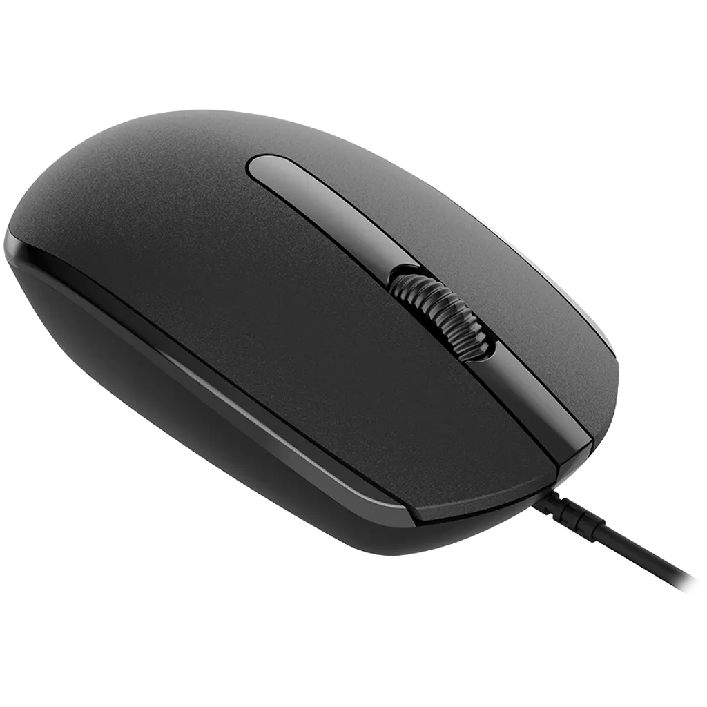 Canyon M-10 ratón Oficina Ambidiestro USB Tipo A Óptico 1000 DPI
