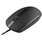 Canyon M-10 ratón Oficina Ambidiestro USB Tipo A Óptico 1000 DPI