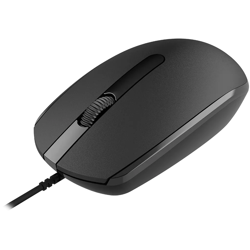 Canyon M-10 ratón Oficina Ambidiestro USB Tipo A Óptico 1000 DPI