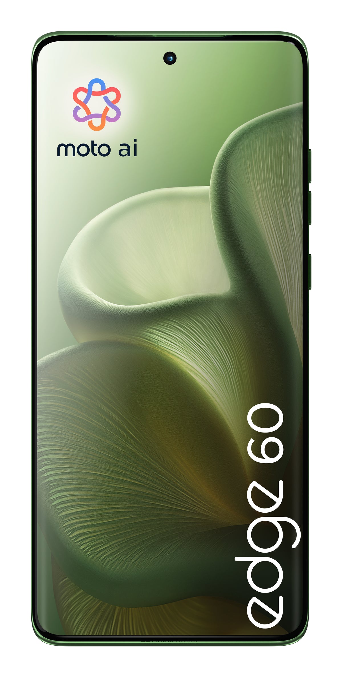Motorola edge 60 16,9 cm (6.67") SIM doble Android 15 5G USB Tipo C 8 GB 512 GB 5200 mAh Verde (5)