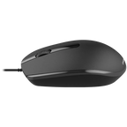 Canyon M-10 ratón Oficina Ambidiestro USB Tipo A Óptico 1000 DPI