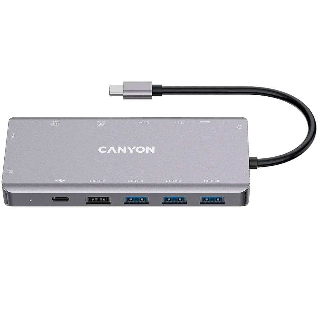 Canyon DS-12 USB 3.2 Gen 1 Tipo C Gris