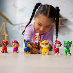PAW Patrol Air Rescue Figure Pack