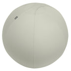 Leitz Ergo Gris Interior Esférico