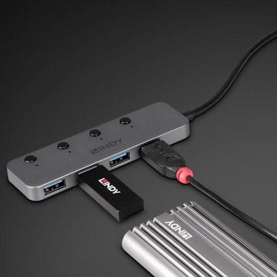 Lindy 43383 hub de interfaz USB 3.2 Gen 1 (3.1 Gen 1) Type-C 5000 Mbit/s Gris (5)