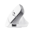 Trust Bayo+ ratón Oficina Mano derecha RF Wireless + Bluetooth Óptico 2400 DPI (4)