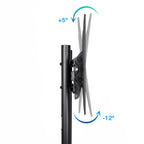 TooQ Ramsés 177,8 cm (70") (5)
