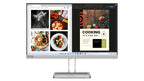 Lenovo L24i-40 pantalla para PC 60,5 cm (23.8") 1920 x 1080 Pixeles Full HD LED Gris