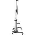 StarTech.com STNDMTV100 soporte para TV 2,54 m (100") Negro, Plata (5)