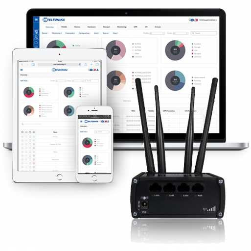 Licencia software Teltonika Networks RMSMP0060000 6 meses