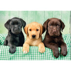 Clementoni High Quality Collection 39946 puzzle Puzzle rompecabezas 1000 pieza(s) Animales (2)