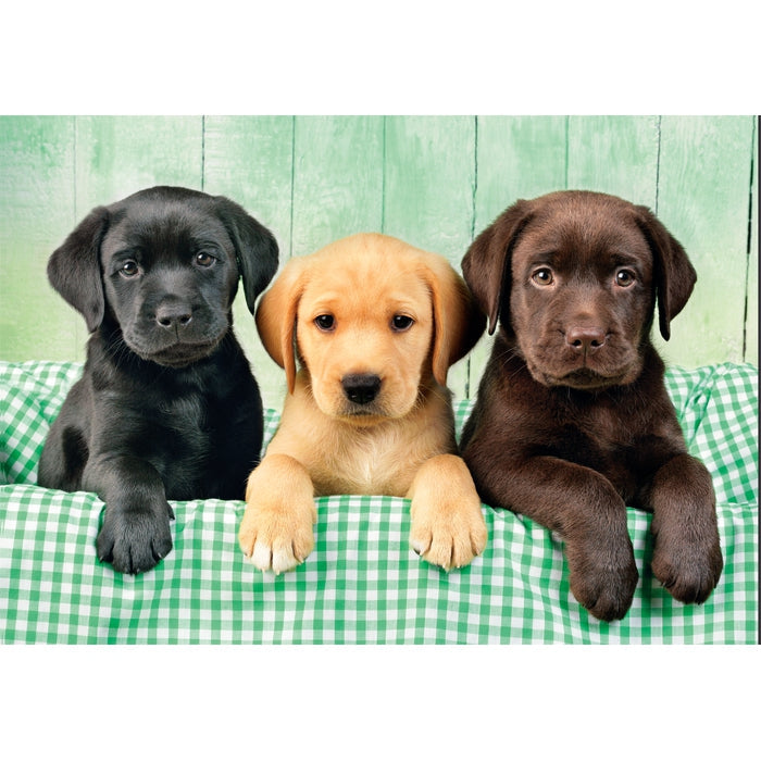 Clementoni High Quality Collection 39946 puzzle Puzzle rompecabezas 1000 pieza(s) Animales (2)