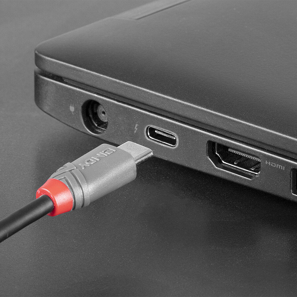 Lindy 36891 cable USB USB 2.0 1 m USB C Micro-USB B 0,48 Gbit/s Negro, Gris (6)
