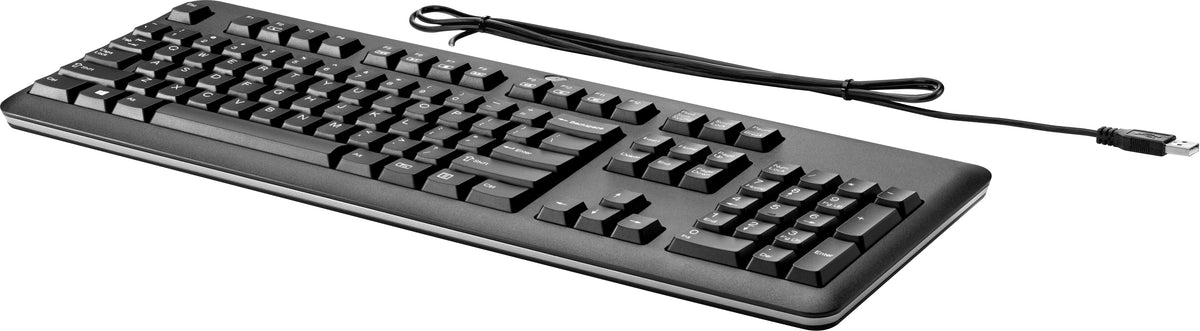 HP USB Keyboard for PC teclado Oficina Negro (2)