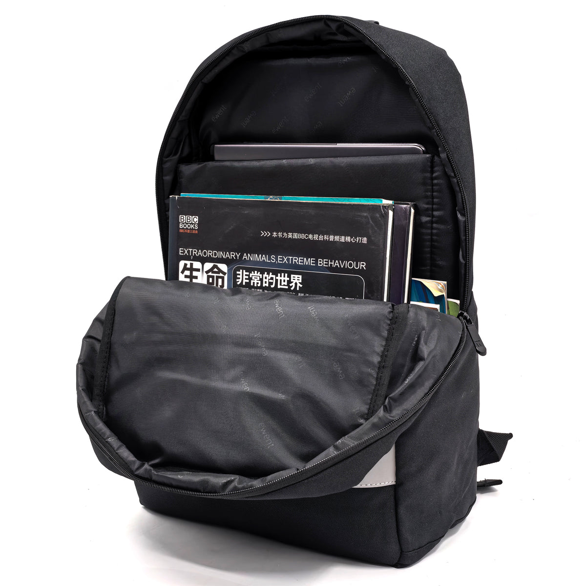 Ewent EW2539 maletines para portátil 40,9 cm (16.1") Mochila Negro (5)
