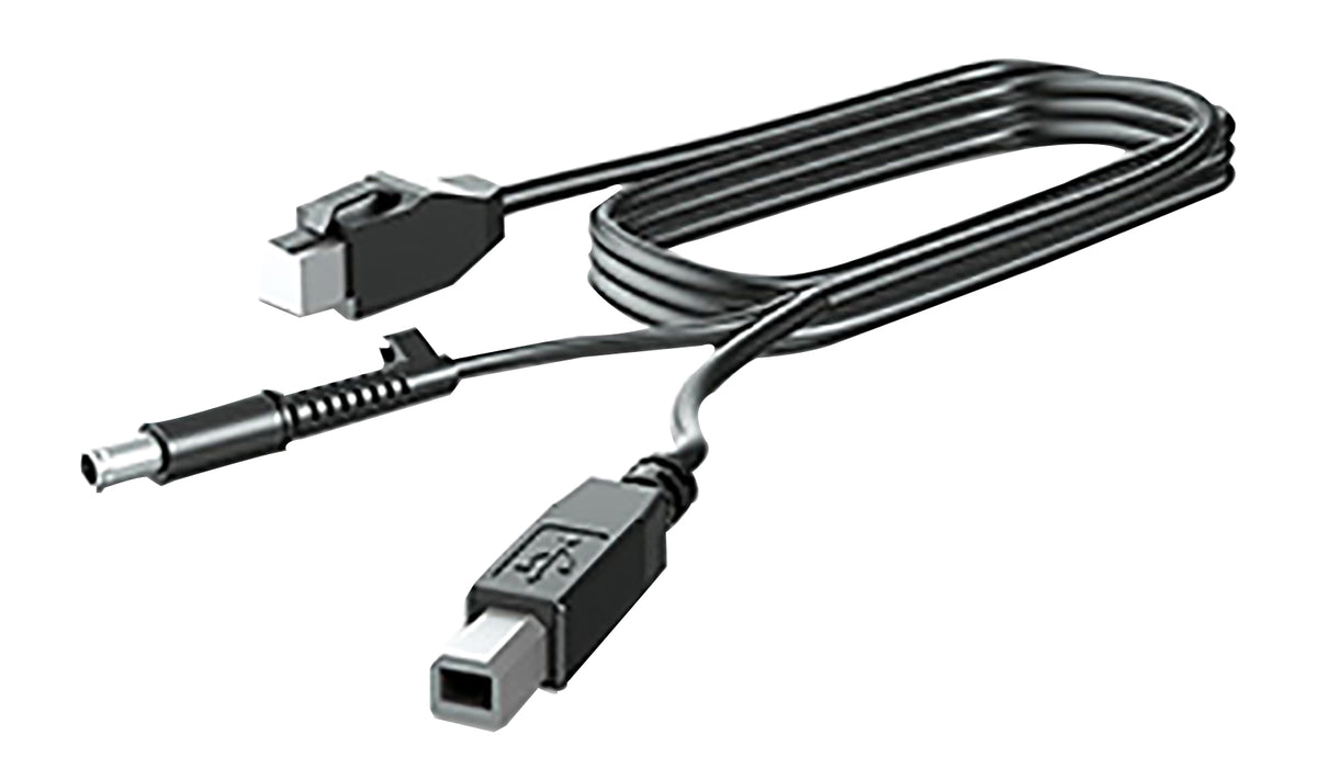 HP 300cm DP and USB Power Cable for L7014 Negro (2)