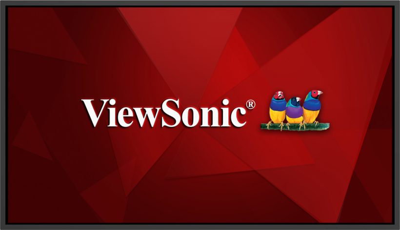Pantalla ViewSonic CDE65G3-1C