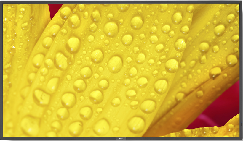 Pantalla Sharp MultiSync ME862 L50ME862 (7)