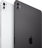 Protector ARTICONA iPad Pro 11 (25/24) (5)