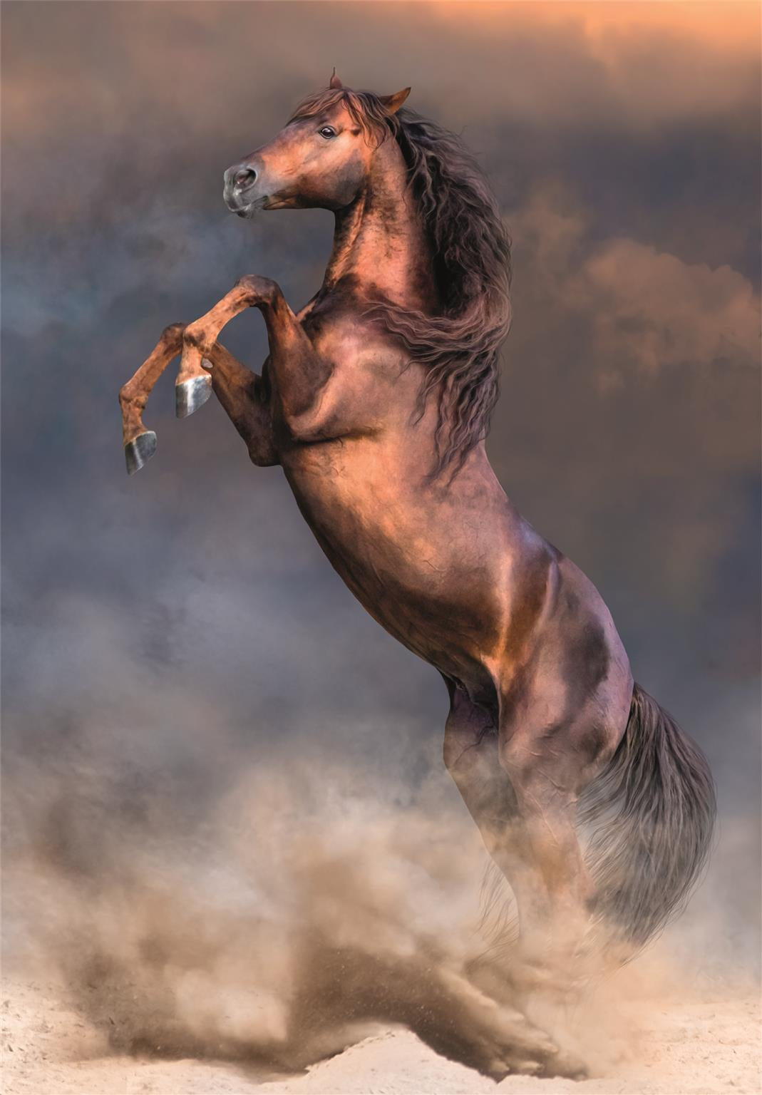 Clementoni 500 pcs CB HQC Wild Red Stallion (2)