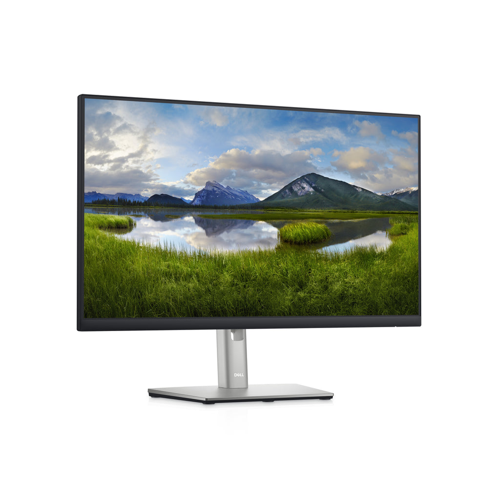 DELL P Series P2422HE pantalla para PC 60,5 cm (23.8") 1920 x 1080 Pixeles Full HD LCD Negro (4)