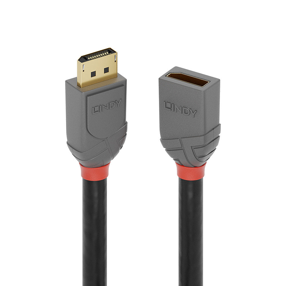 Lindy 36497 cable DisplayPort 2 m Negro (2)