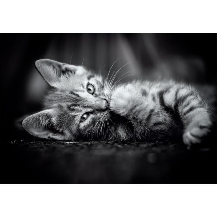 Clementoni High Quality Collection 39950 puzzle Puzzle rompecabezas 1000 pieza(s) Animales (2)
