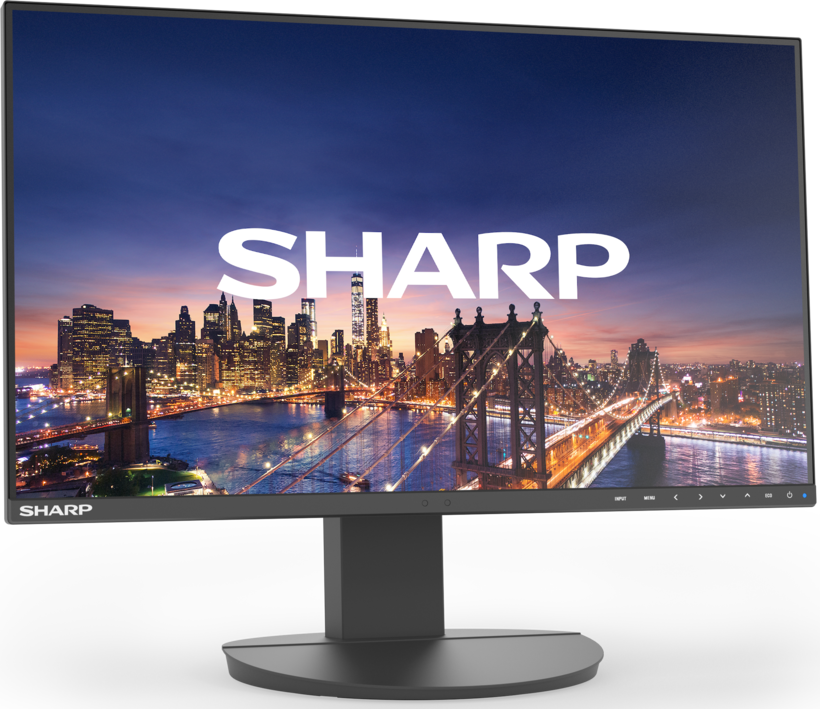 Monitor Sharp MultiSync EA242F DDEA242F (2)