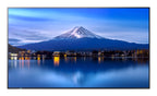 Sharp MultiSync P556 Diseño de quiosco 139,7 cm (55") LCD 700 cd / m² 4K Ultra HD Negro Procesador incorporado (2)