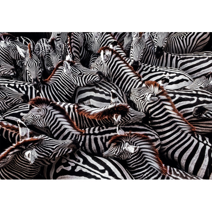Clementoni Zebra Puzzle rompecabezas 1000 pieza(s) Animales (2)