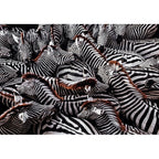 Clementoni Zebra Puzzle rompecabezas 1000 pieza(s) Animales (2)