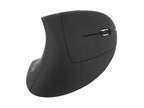 Equip 245110 ratón Mano derecha RF inalámbrico Óptico 1600 DPI (2)