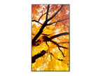 Sharp MultiSync M552 Pantalla plana para señalización digital 139,7 cm (55") LCD 550 cd / m² 4K Ultra HD Negro Pantalla táctil (4)