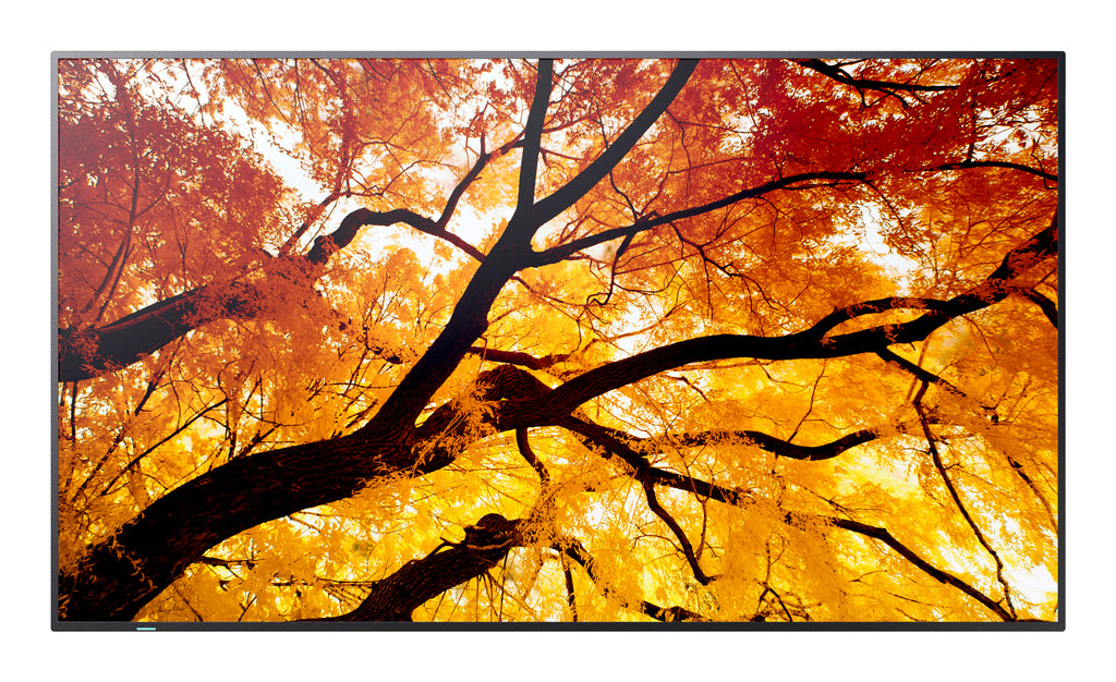 Sharp MultiSync PN-M752 189,2 cm (74.5") LED 550 cd / m² 4K Ultra HD Negro 24/7 (2)