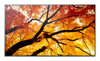 Sharp MultiSync PN-M752 189,2 cm (74.5") LED 550 cd / m² 4K Ultra HD Negro 24/7 (2)