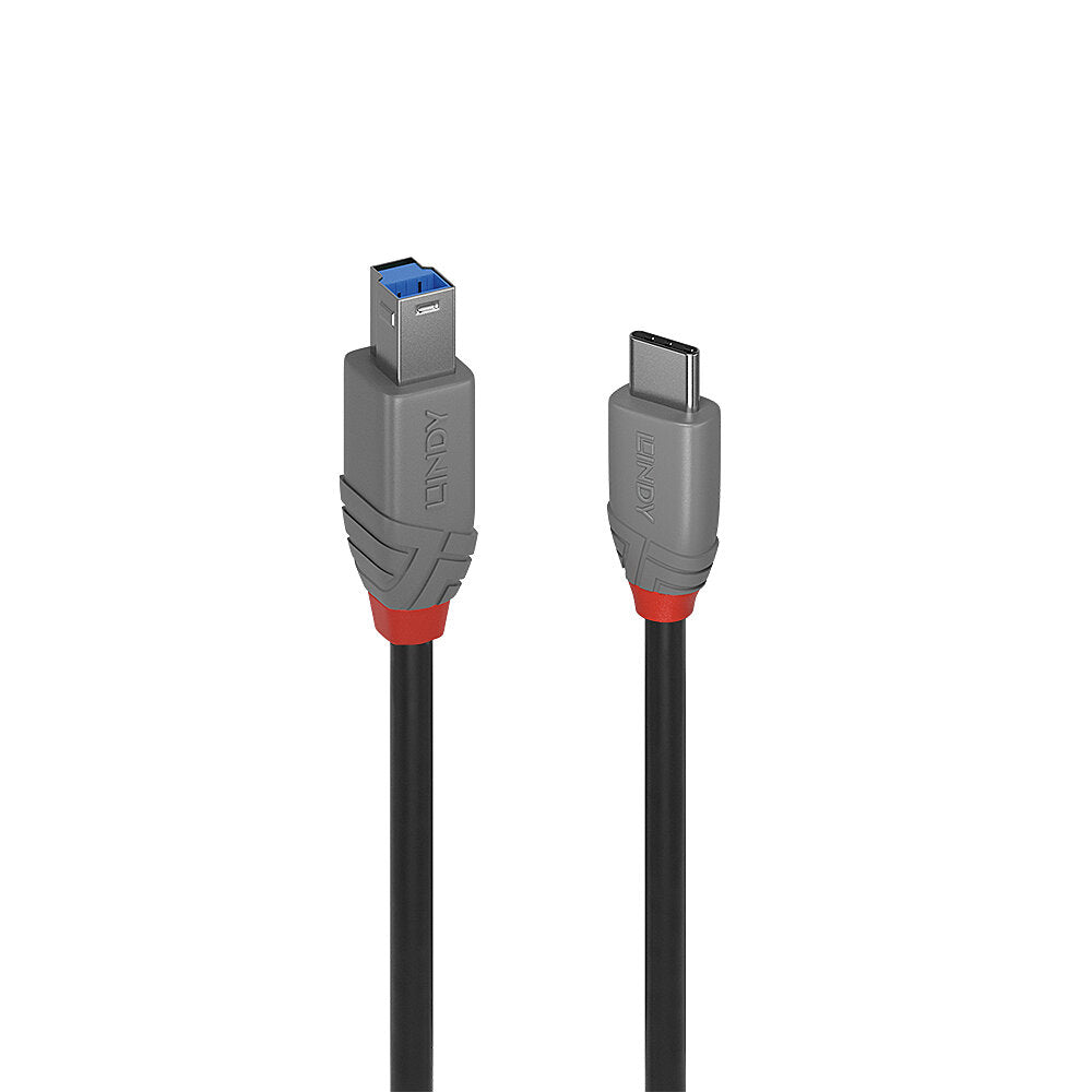 Lindy 36666 cable USB USB 3.2 Gen 1 (3.1 Gen 1) 1 m USB C USB B Negro (2)