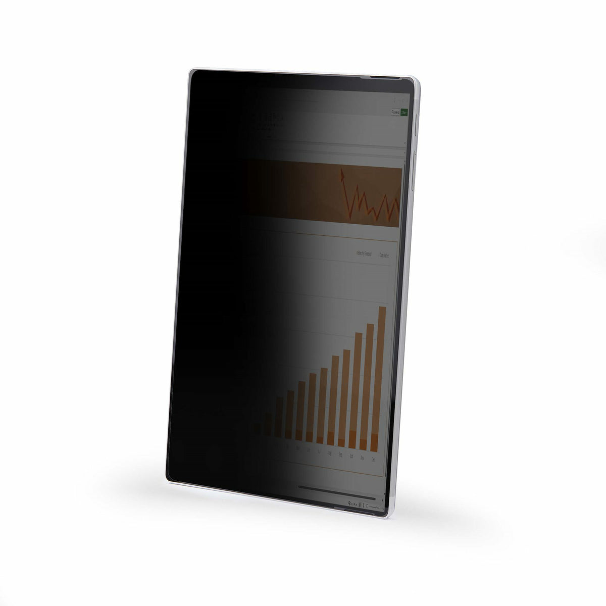 StarTech.com 123SP-PRIVACY-SCREEN filtro para monitor 31,2 cm
