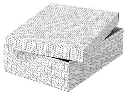 Esselte 628284 archivador organizador Caja de cartón Blanco